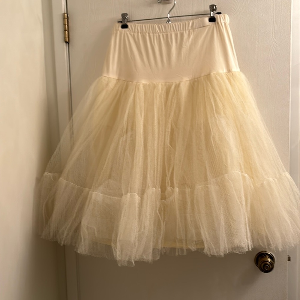 Vintage petticoat